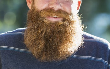 A long, dry beard