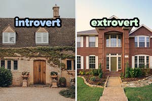 On the left, a cottage with ivy growing on it labeled introvert, and on the right, a two-story suburban brick home labeled extrovert