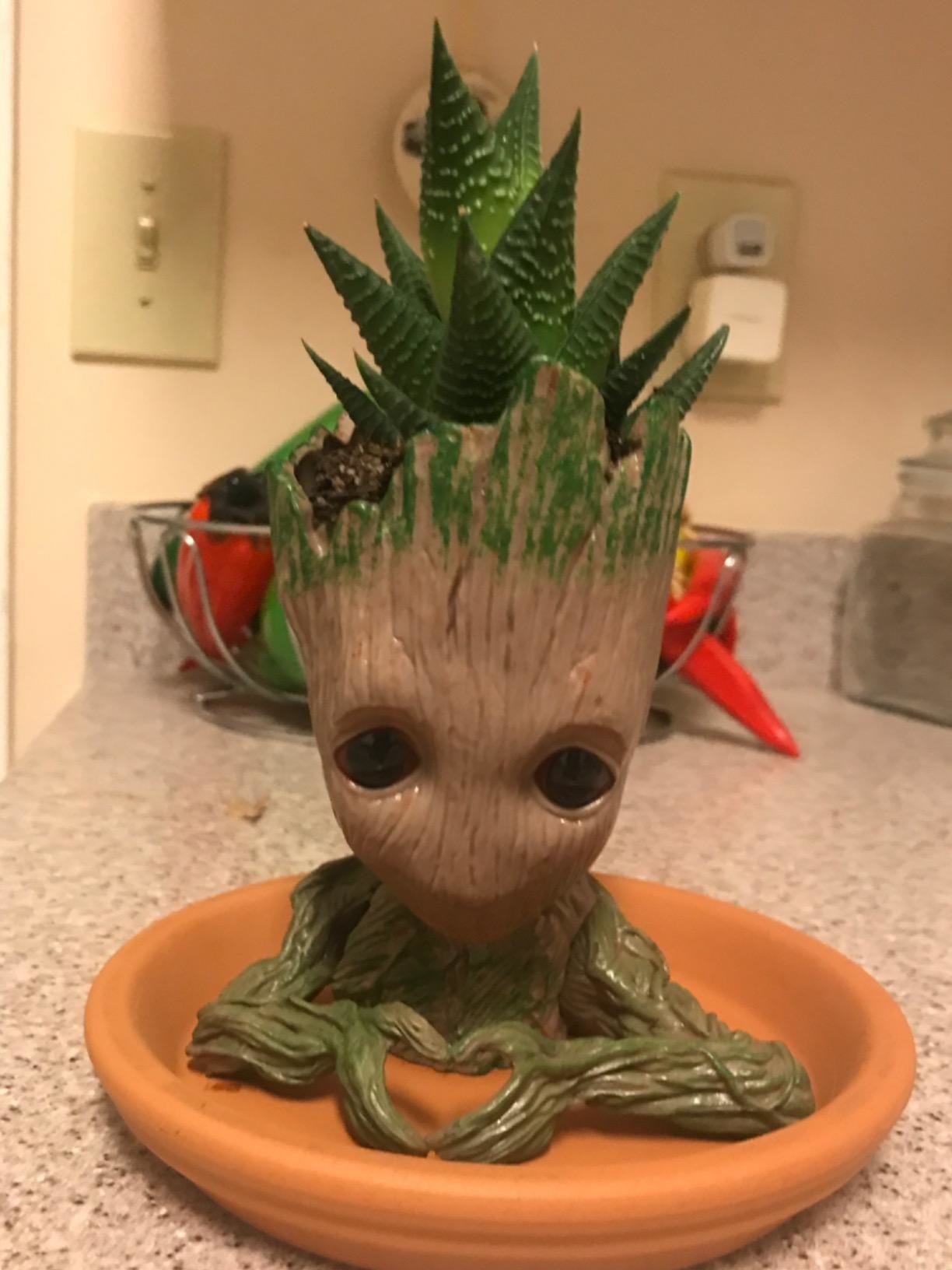 reviewer photo of Groot planter making little heart with hands