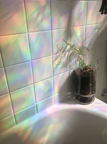 a different reviewer image showing the rainbow effect on the wall