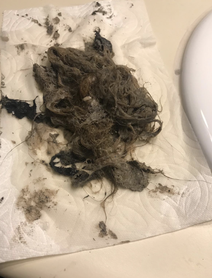 large clump of hair that the drain snake removed