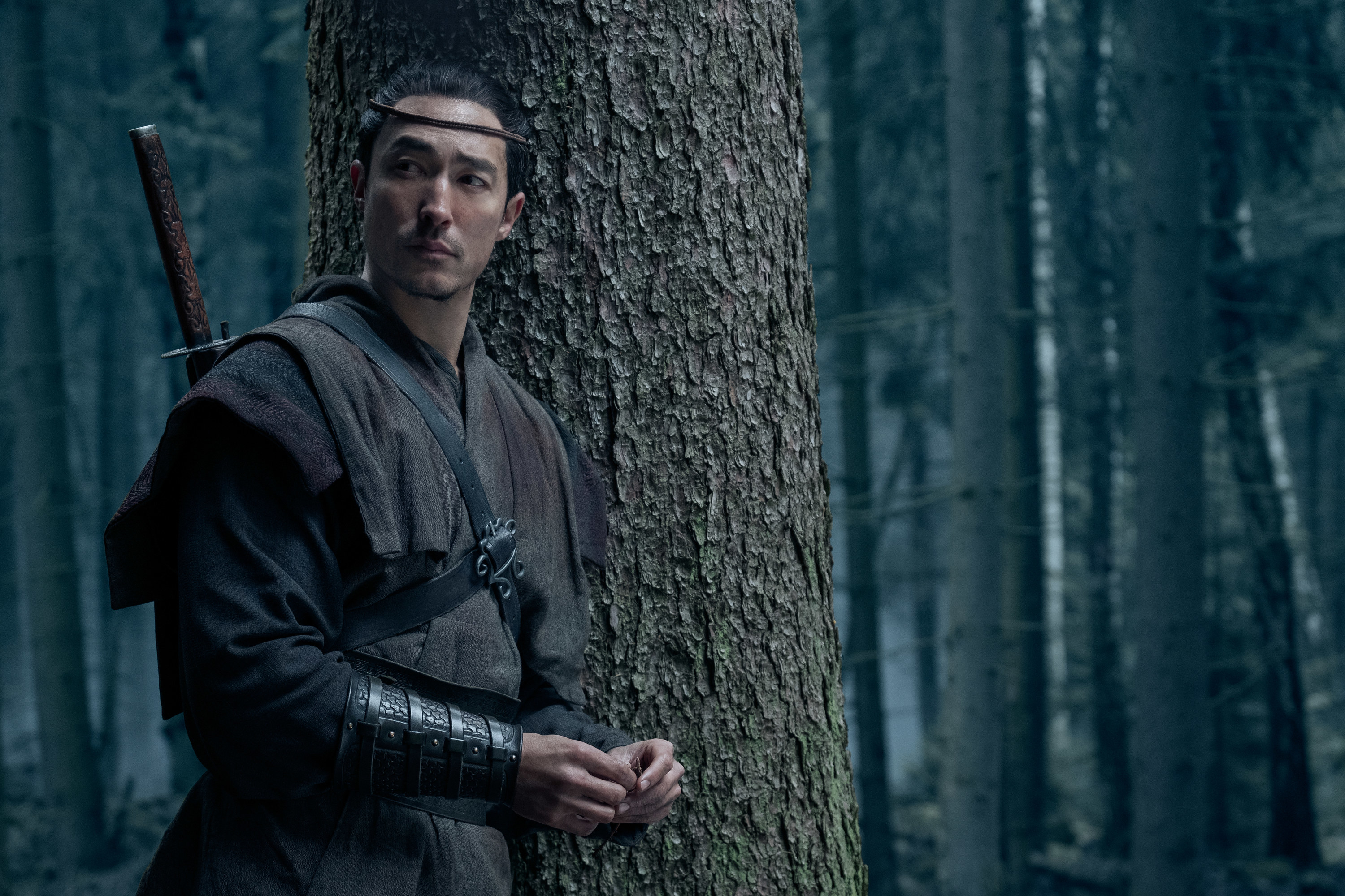 Lan Mandragoran standing in the forest looking towards his left