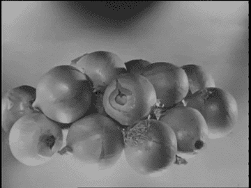 GIF of vintage casserole