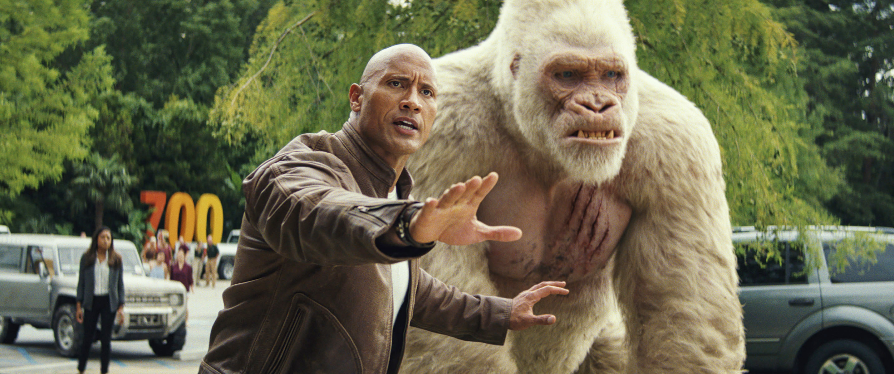 Johnson holds out a hand to protect the massive albino gorilla George