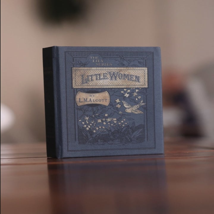 Little Women book wallet