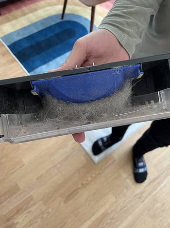 hand holds interior compartment of the robot vacuum with lots of fur inside