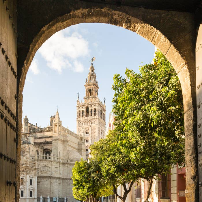 A city view through an arch.