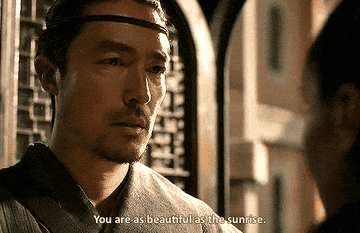 gif of Lan Mandragoran telling someone that they are as