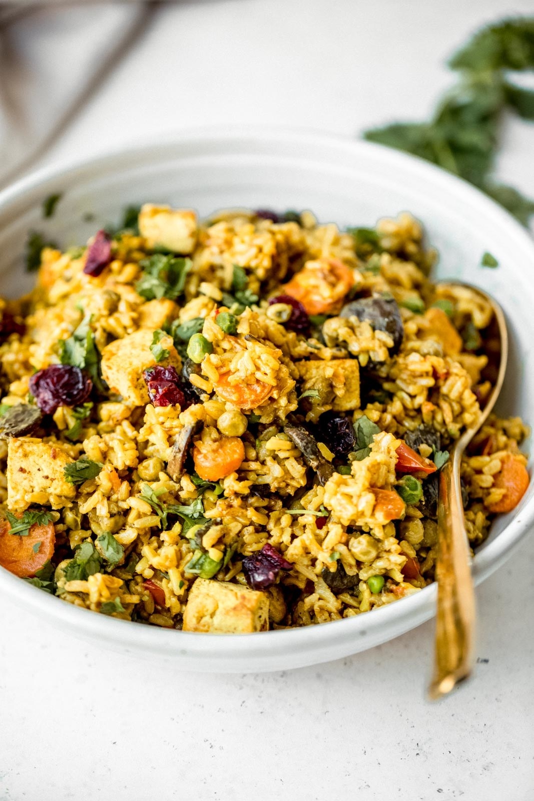 Coconut Curried Brown Rice With Tofu