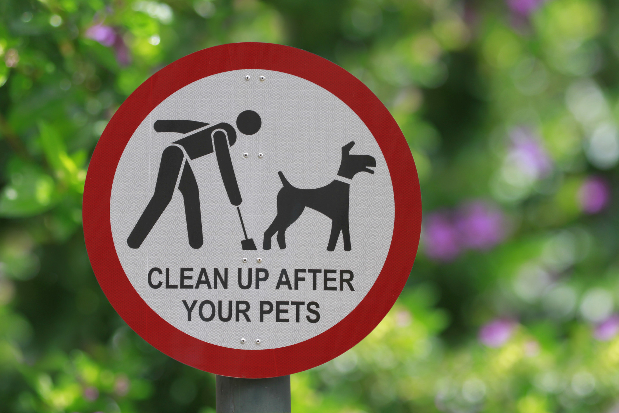&quot;Clean up after your pets&quot; sign at the park
