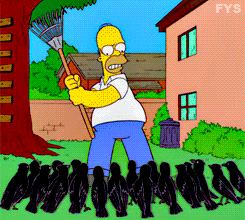 Homer threatens a flock of crows with a rake, and is attacked by them in