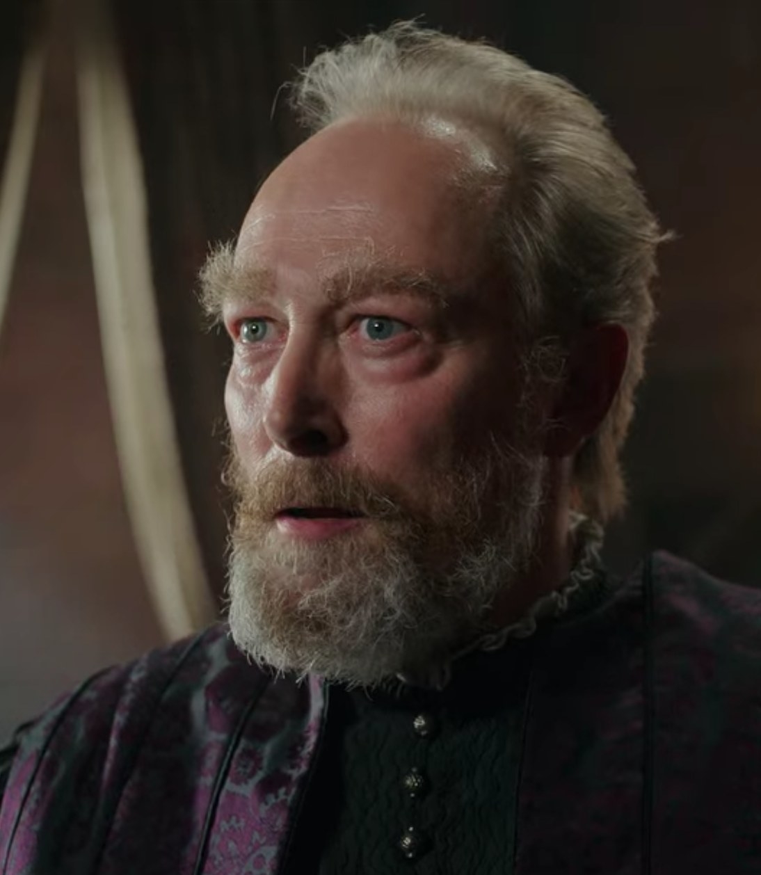 Lars Mikkelsen appears as Stregobor in &quot;The Witcher&quot; Season 2