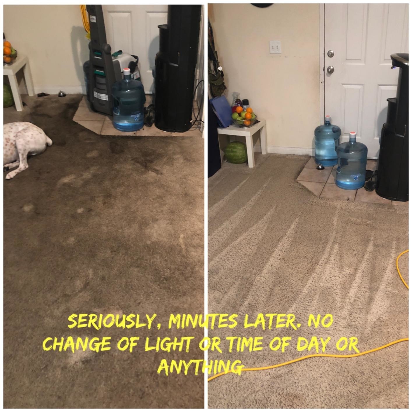 Before and after of a reviewer's carpet with text at the bottom that reads 