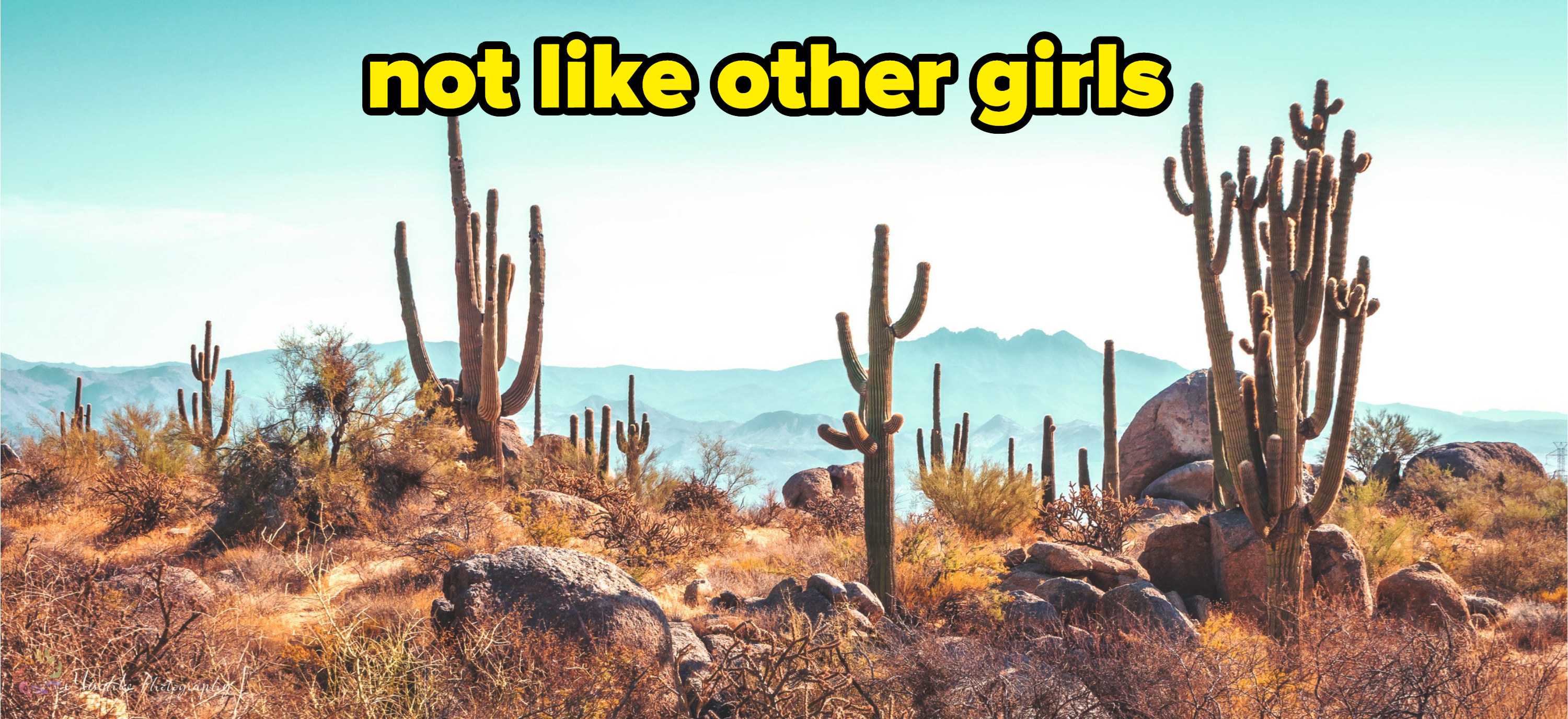 a bunch of cacti with caption &quot;not like other girls&quot;