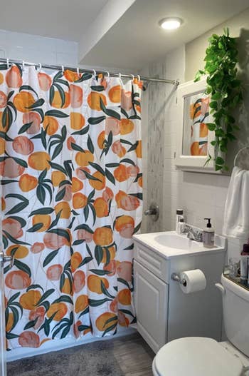 reviewer image of the shower curtain