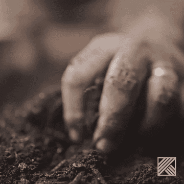 hand in dirt