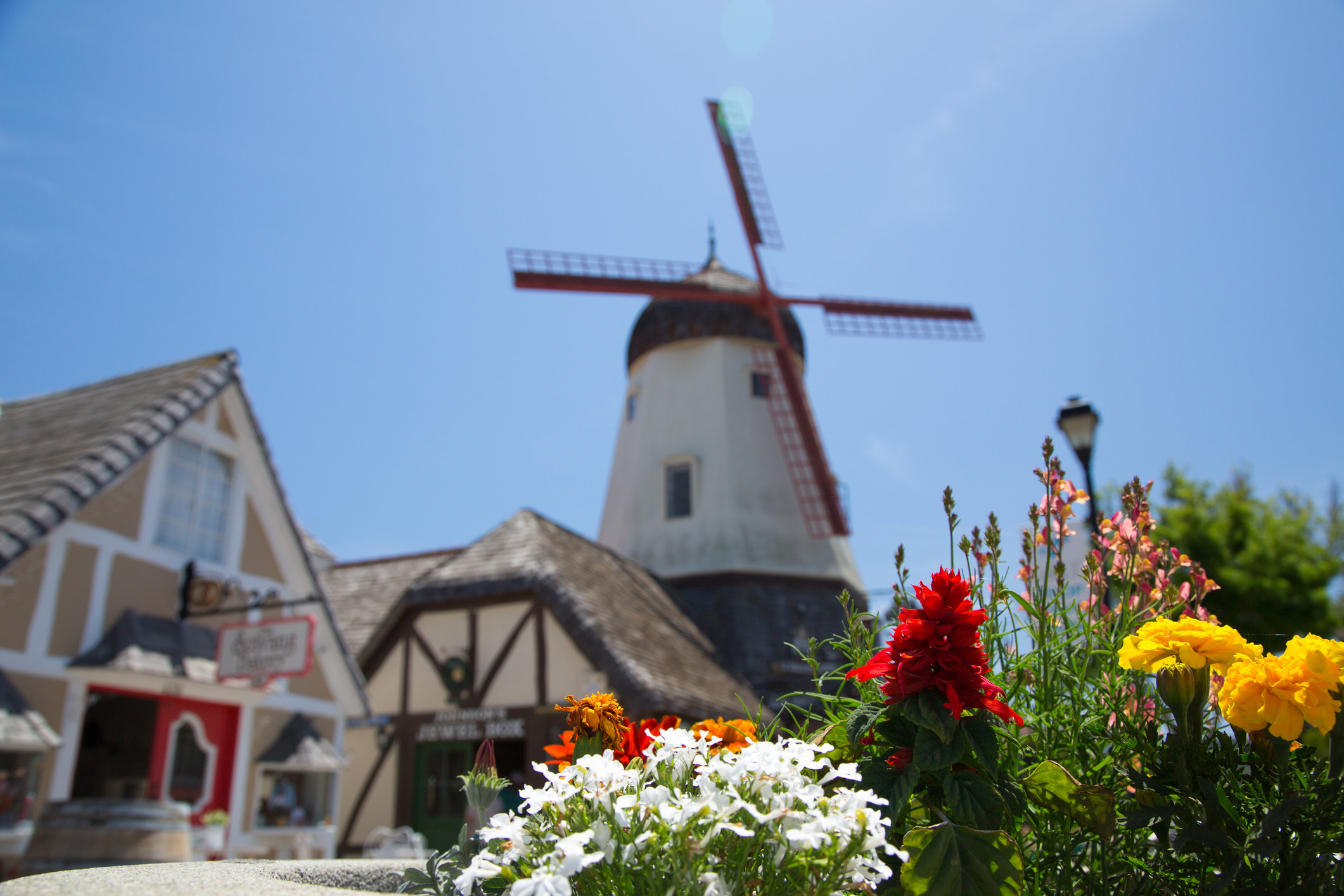 Flowers in front of Solvang windmill