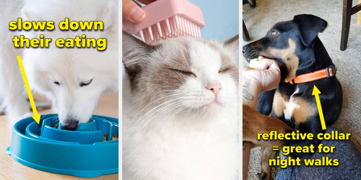 30 Pet Products Under $15 That Make Life With Your Pets So
Much Easier