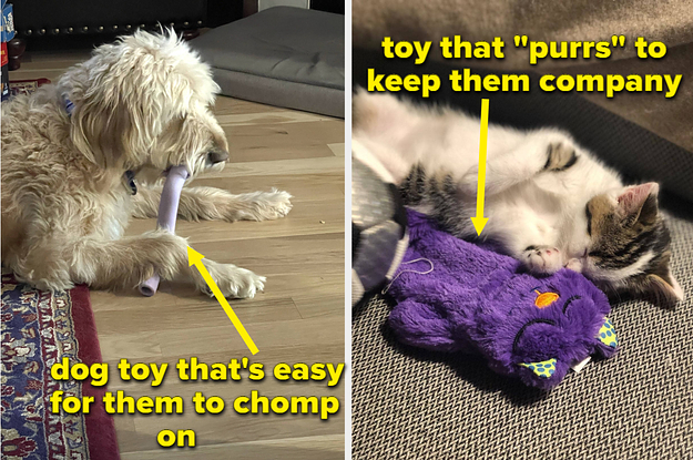 dog chomping on a lilac toy on the left and a cat with a purple toy on the right