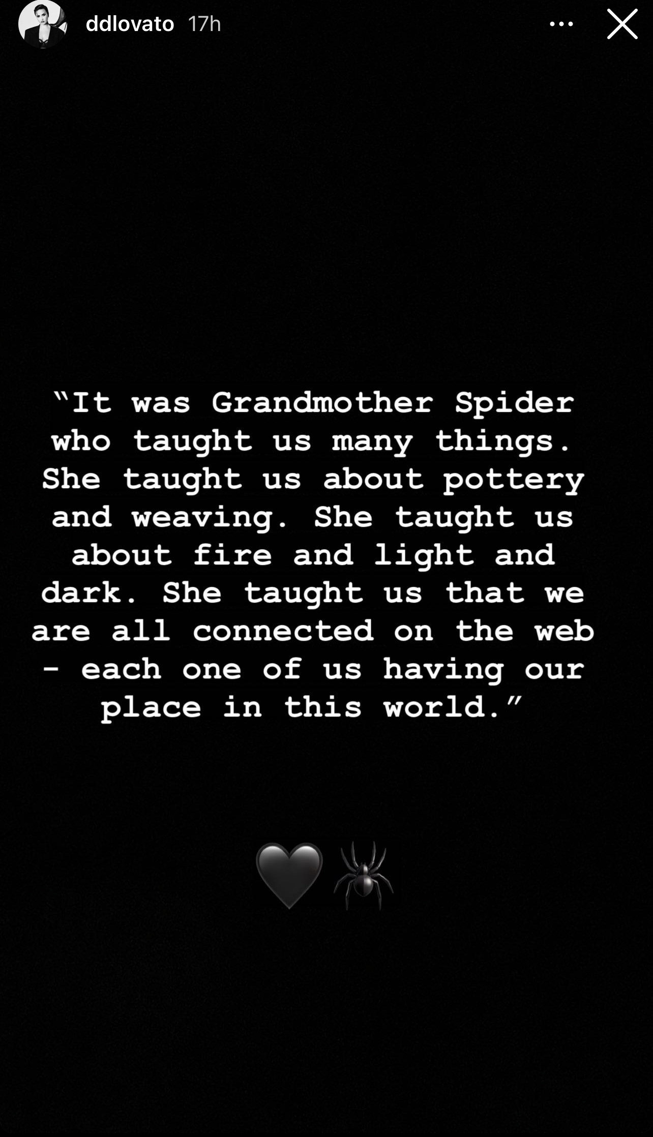 Demi's message about spiders