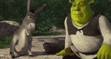 Shrek looks inquisitively towards Donkey