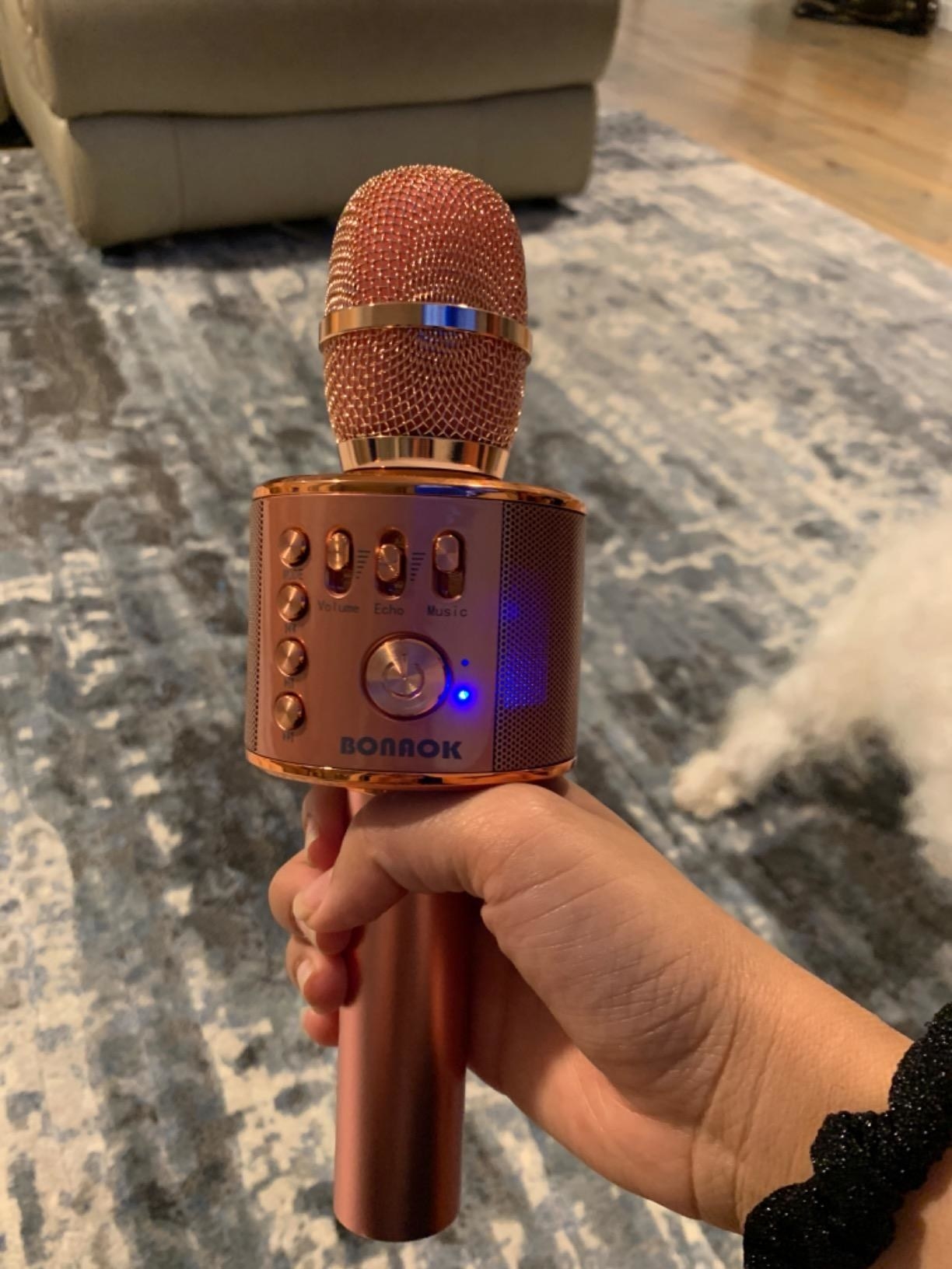 image of reviewer holding rose gold karaoke mic