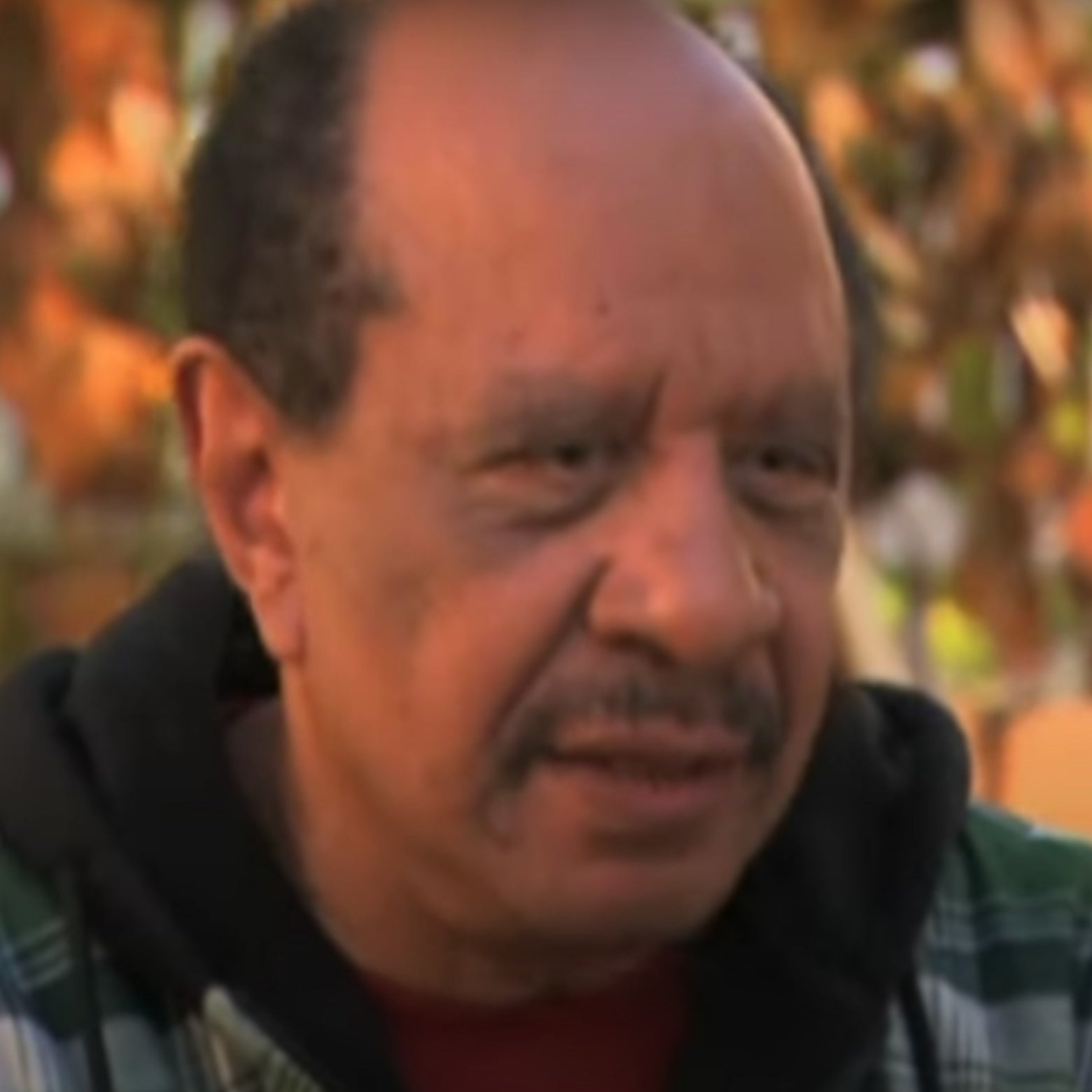Sherman Hemsley is seen as the character George O&#x27;Donnell in &quot;For the Love of a Dog&quot;