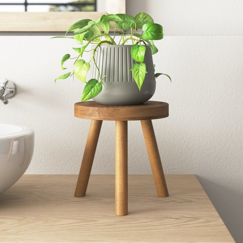 An image of a round corner plant stand