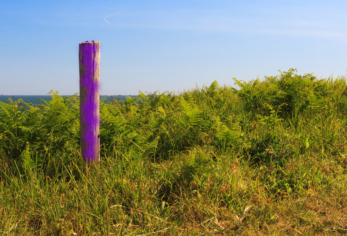 a spray painted fence post