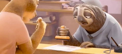 the DMV sloths from Zootopia