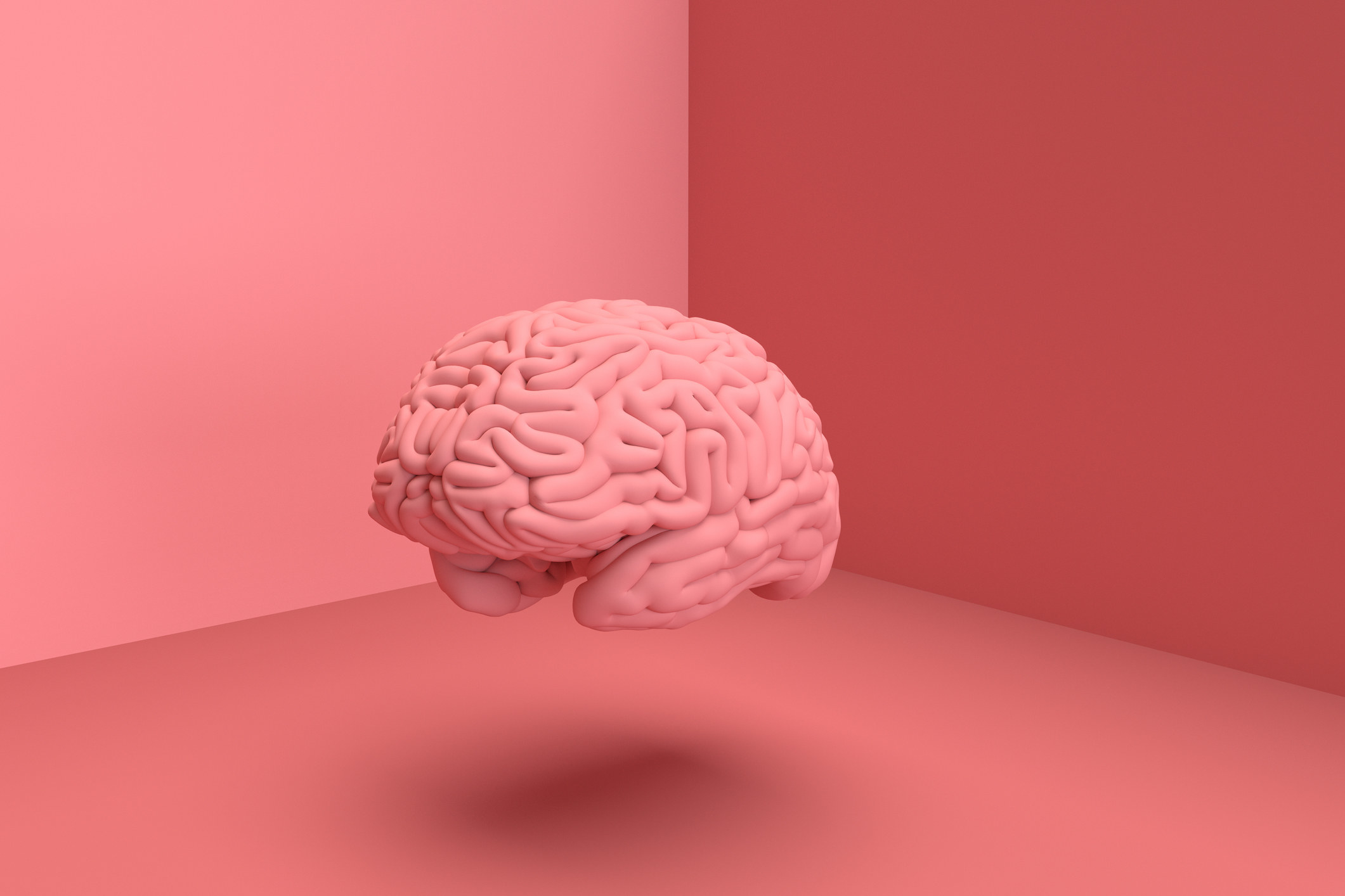 stock image of brain