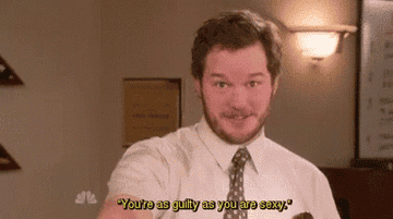 Andy from Parks and Rec saying &quot;you&#x27;re as guilty as you are sexy.&quot;