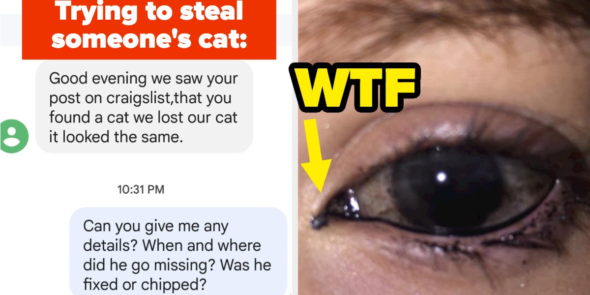 12 Dirty, Rotten Liars Who Were Shamed On The
Internet