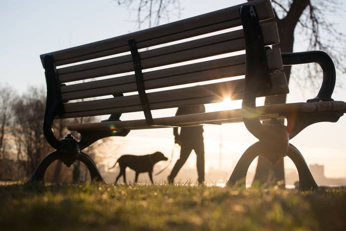 A park bench with the sunlight =behind it. There is also a dog walker, with their dog walking beside it.