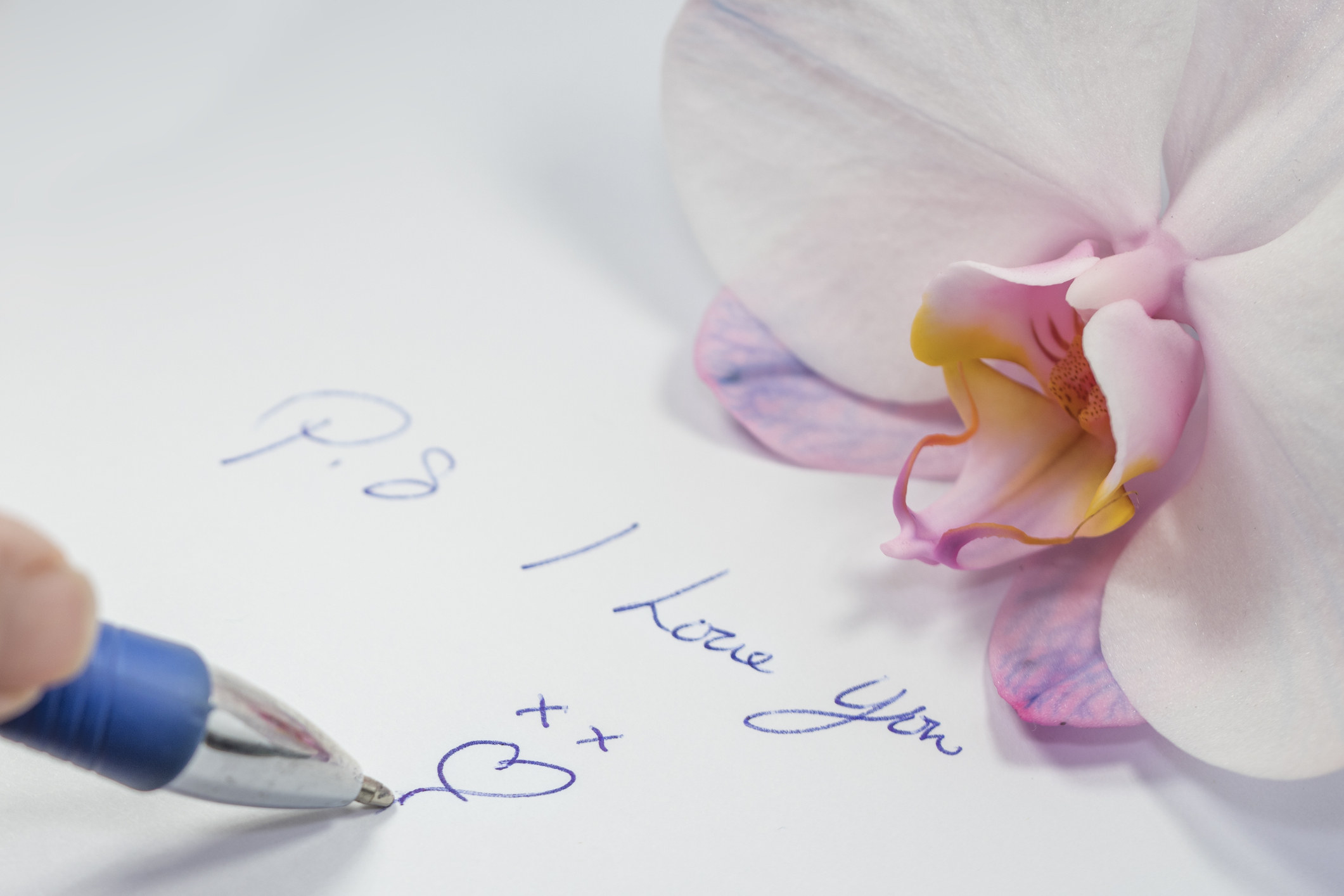A blue ball-point pen writing &#x27;P.s I Love You&#x27; on a white piece of paper with a white and pink flower above it.