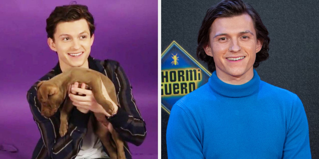 Tom Holland Is Going To Play With Puppies (Again), So We
Want To Know ALL Of Your Questions For Him