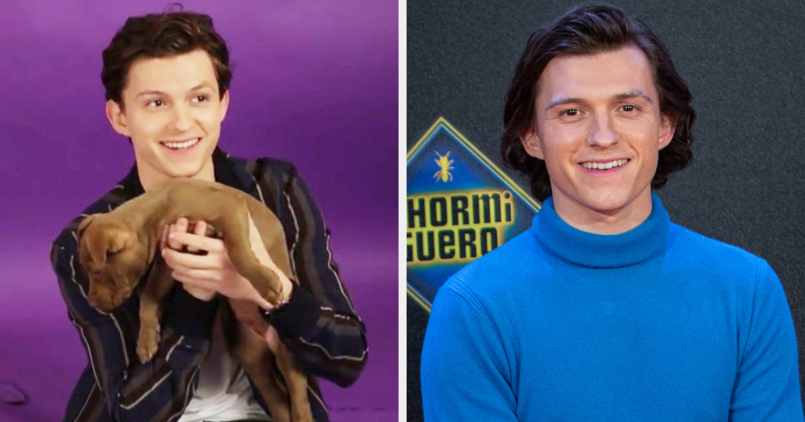 Tom Holland Is Going To Play With Puppies (Again), So We Want To Know ALL Your Questions For Him