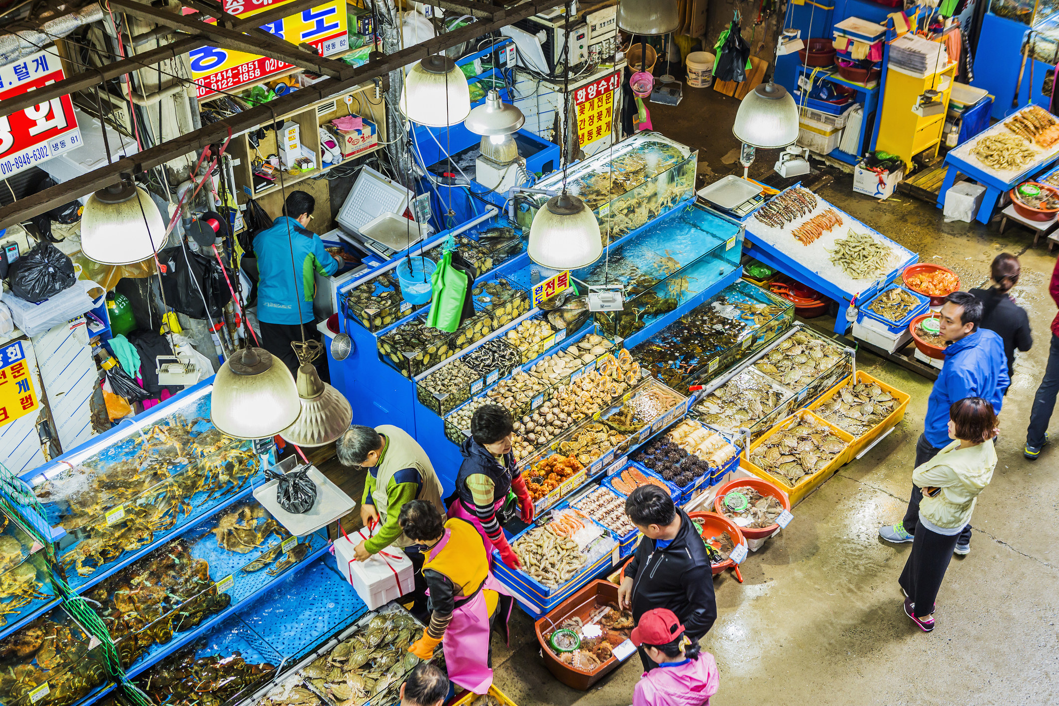 People shopping in a large fish market