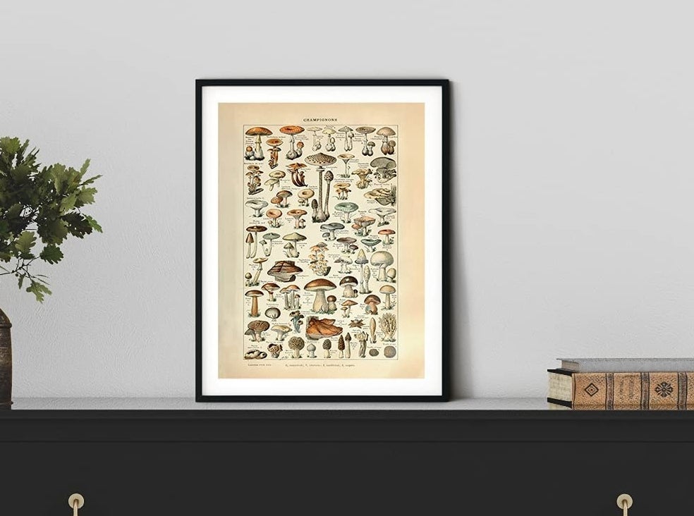 The mushroom print framed and standing on a table leaning against a wall next to a vase of greenery