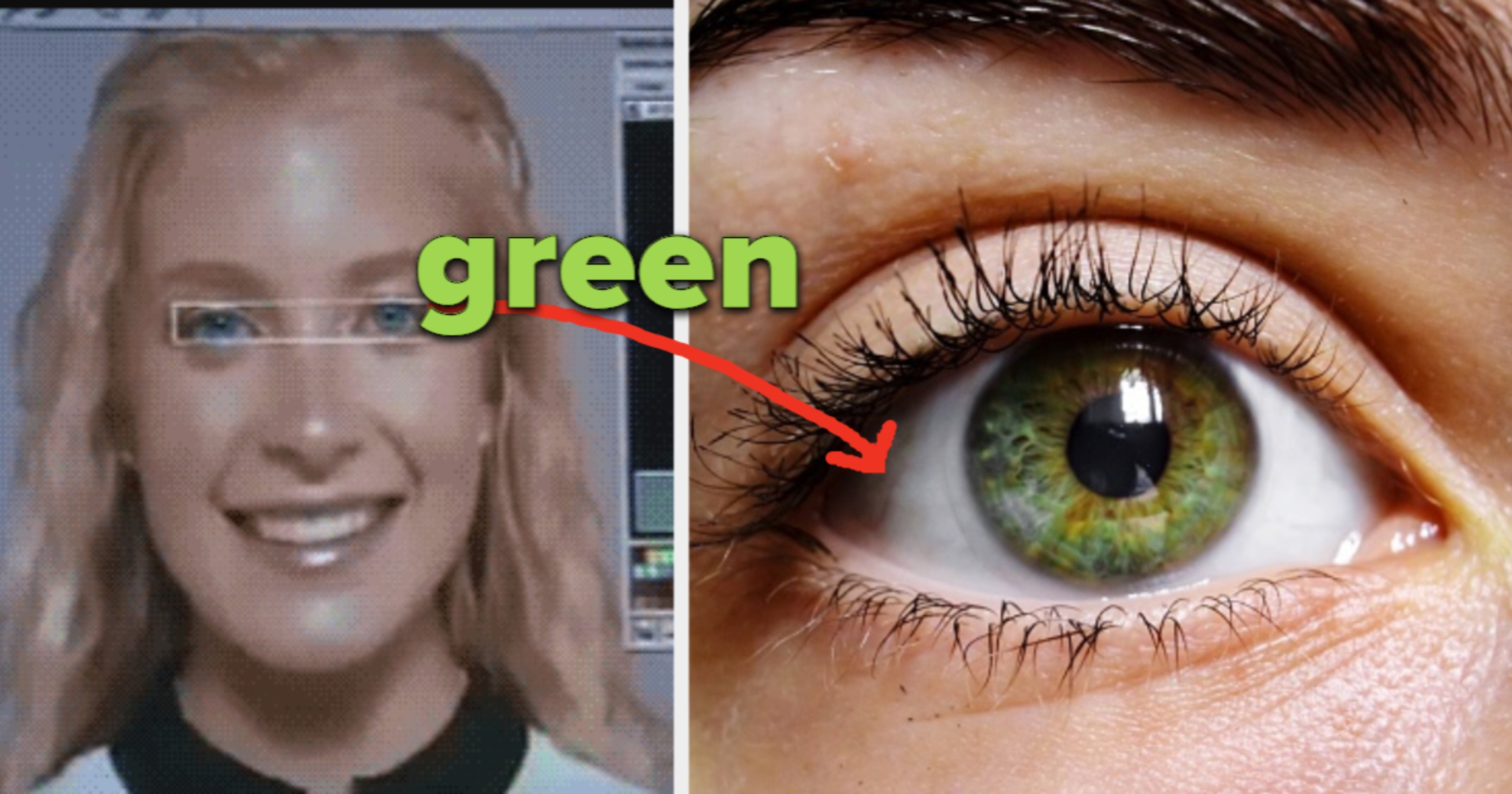 Guessing Quiz Can We Guess Your Eye Color?