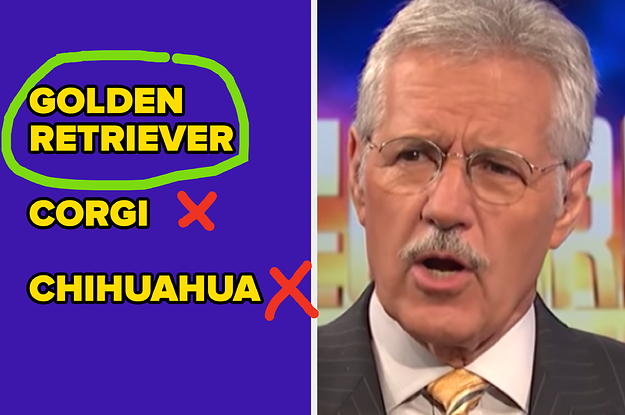 These Dog Trivia Questions Were Actually Asked On "Jeopardy!" — Let's See How Many You Can Answer Correctly