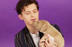 Tom Holland holding a puppy