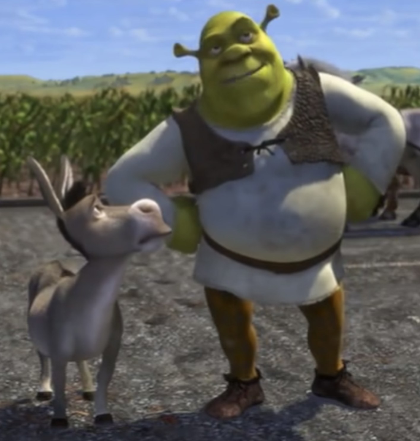 Donkey and Shrek