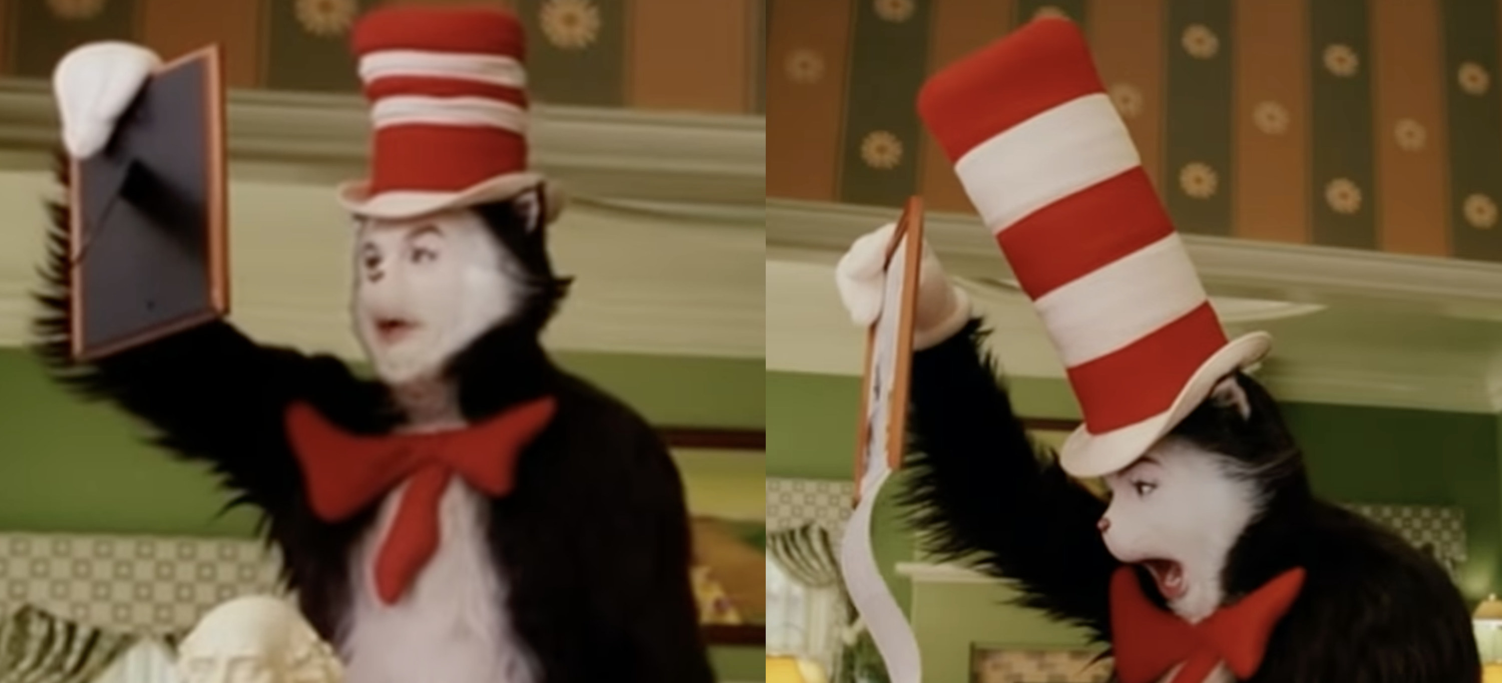 The Cat in the Cat in the Hat