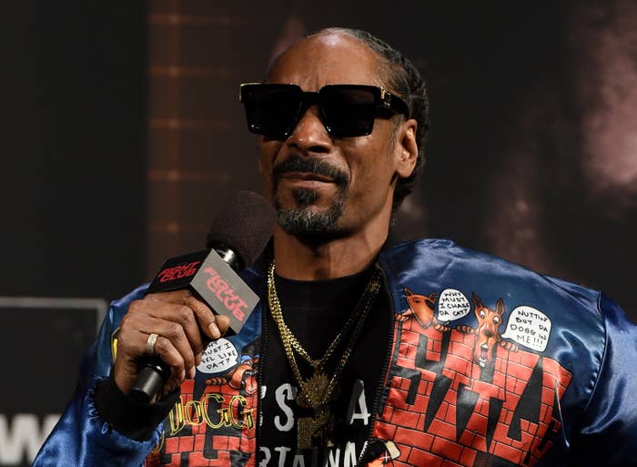 A closeup of Snoop