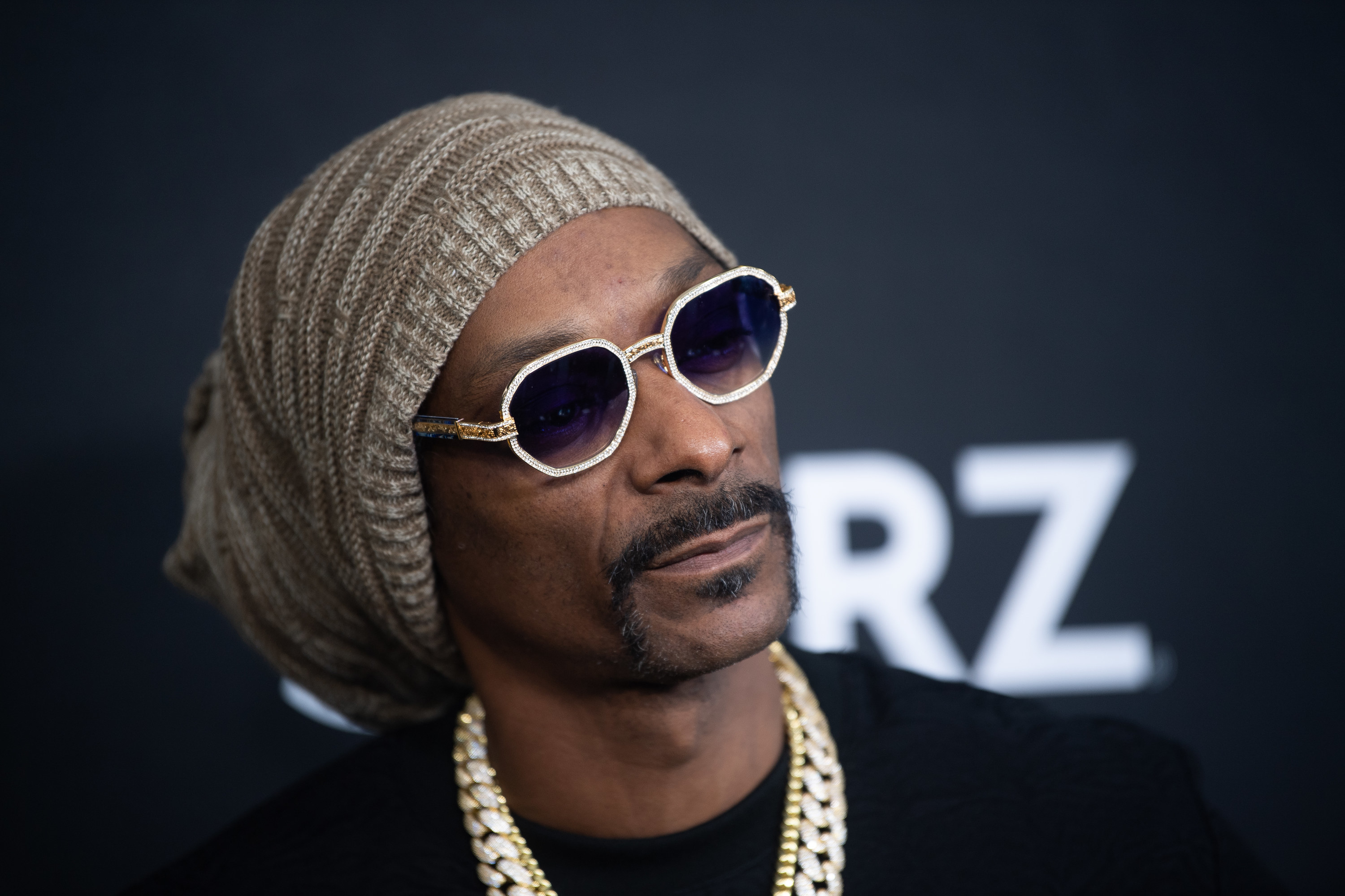 A closeup of Snoop