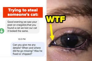 a side by side - someone trying to steal someone's cat via text on the left, and a girl with weird black stuff in her eye on the right