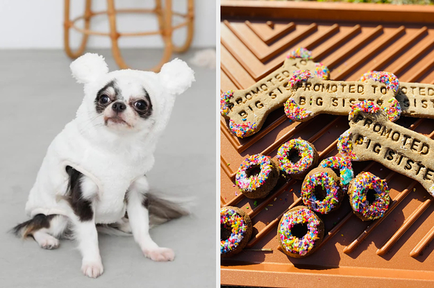 A dog in a teddy bear hoodie, and dog treats that say "Promoted to Big Sister"