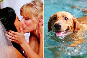 brittany and santana kissing on the left and a dog swimming on the right