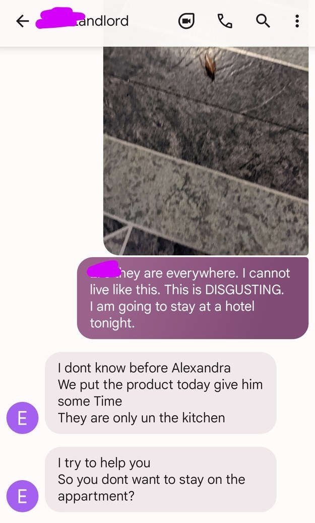 tenant sends photo of cockroach saying they need to stay in a hotel because it&#x27;s disgusting and the landlord saying they put the product on today and it takes time